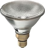 GE Lighting 66286 Energy-Efficient Halogen 90-Watt (120-watt replacement) 1900-Lumen PAR38 Floodlight Bulb with Medium Base, 2-Pack