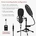 ZINGYOU ZY-801 Professional Studio Microphone, Desktop Computer Cardioid Condenser Mic with Tripod for PC Recording, Broadcasting (Black)