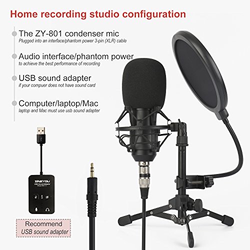 ZINGYOU ZY-801 Professional Studio Microphone, Desktop Computer Cardioid Condenser Mic with Tripod for PC Recording, Broadcasting (Black)