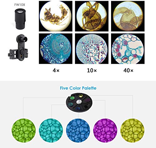 Microscope for Kids and Students-40X-640X Magnification Dual LED Illumination Lab Compound Monocular Microscopes-with 16X Eyepiece Smartphone Digiscoping Adaptor for Observing Capturing and Sharing