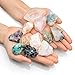 Top Plaza Mineral Rock Variety Tumbled Rough Gemstone Meteorite Fragment Healing Energy Raw Crystal Collection Bulk(5 pcs Rough Irregular Shape Stones)