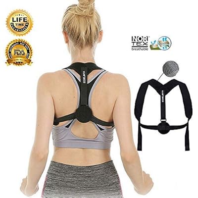 primate posture brace