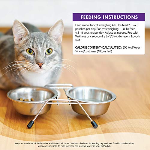 Wellness Grain Free Wet Cat Food Variety Pack - Image 7