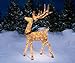5 Foot Gold Champagne Buck Deer Display Outdoor Christmas Yard Lawn Decoration