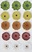 Martha Stewart Crafts Stickers, Dimensional Zinnia