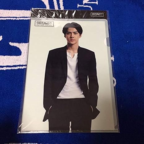 Amazon セフン ファイル エルホルダー Exo The Exo Luxion アンコン 韓国 公式 グッズ ベッキョン カイ シウミン チェン Cd トレカ おもちゃ ホビー