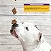 Wellness WellBars Dog Treats, Natural, Training Treat, Grain Free, Crunchy Yogurt, Apples & Banana (45 Ounce Bag)