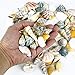 CYS EXCEL Approx 100 sea Shells, Sized at 0.75” to 2”, Mixed Beach Seashells, Arious Sizes Natural Seashells for Fish Tank, Vase Filler Sea Shells, Home Decorations, Wedding Décor