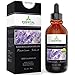 Lavender Oil (Kashmir) - Therapeutic Grade 31% Linalool and 34% Linalyl Acetate - 1 fl oz with Glass Dropper - Premium Select from Essential Oil Labs
