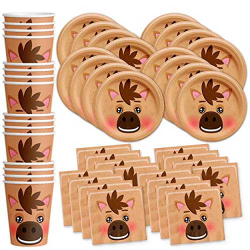 Horse Birthday Party Supplies Set Plates Napkins Cups Tableware Kit for 16