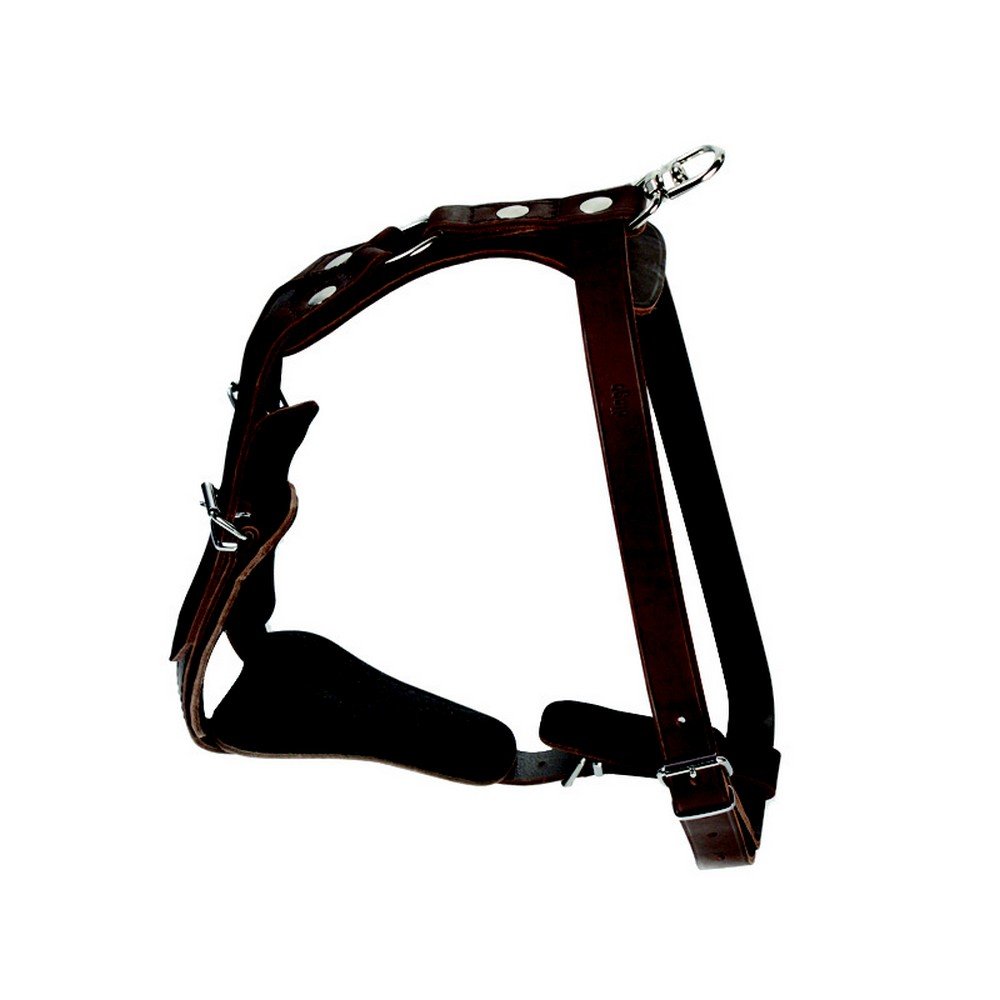 Dingo Gypsy Dog Harness for Training in Fields, Adjustable Stripes, Handmade of Brown Leather 10690