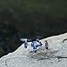 Estes Proto X SLT Nano Ready to Fly (RTF) Radio Controlled Electric Powered Quadcopter Drone (Blue)