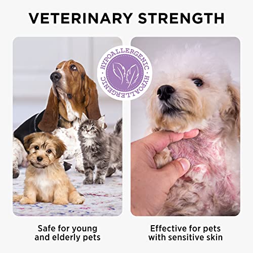 HICC GROOM! HOT SPOT TREATMENT AND ITCH RELIEF SPRAY FOR DOGS & CATS, RAPIDLY ALLEVIATE DRY ITCHY SKIN, SKIN ALLERGIES, SCRATCHING, EXCESSIVE LICKING, WOUND WASH SPRAY, 3.4 FL OZ