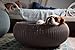 Keter by Curver Knit Cozy Resin Plastic Pet Bed, Cat Bed & Dog Bed with Cushion, Small Dogs to Medium Cats, Sandy Beige