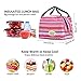 Aosbos Reusable Insulated Lunch Box Tote Bag (Pinstripe)