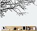 TRURENDI Stunning Tree Branch Removable Wall Art Sticker Vinyl Decal Mural Home Decor (DESIGN 1, 1) OneSize, Black