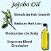 SKIN HAIR CARE DLC JOJOBA OIL JUST WORKS, FOR HEALTHY SOFT MOISTURING SKIN, SHINY AND MANAGEABLE HAIR ACEITE DE JOJOBA