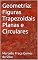 Livro Geometria: Figuras Trapezoidais Planas e Circulares