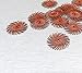 3M Radial Bristle Discs 220 Grit Red 3m Mini Radial Brushes 3/4