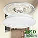 LE 12W 11-Inch Warm White LED Ceiling Lights, 80W Incandescent (22W Fluorescent) Bulbs Equivalent, 950lm, 3000K, Ceiling Light Fixture, Ceiling Lighting, Flush Mount Light for Living Room