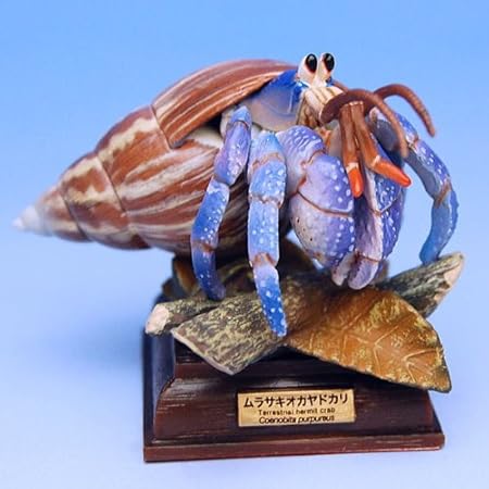 Amazon ネイチャーテクニカラー 小笠原 4 ムラサキオカヤドカリ 単品 フィギュア ドール 通販