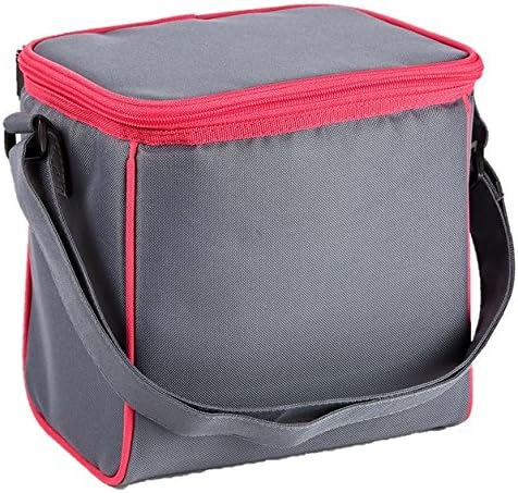 insulated bottle cooler bag with strap