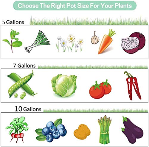 Potato Grow Bags, 3 Pack 5, 7 & 10 Gallons Garden Planting Bags, Vegetables Planter Bags, Non-Woven Aeration Fabric Pot Growing Bags with Handle and Access Flap with a Pair of Gardening Genie Gloves