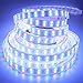 LEDENET 16.4FT Double Row RGB+Warm White 5050 LED Strip Lights 24V 600LEDs Waterproof in Silicone sleeving IP67
