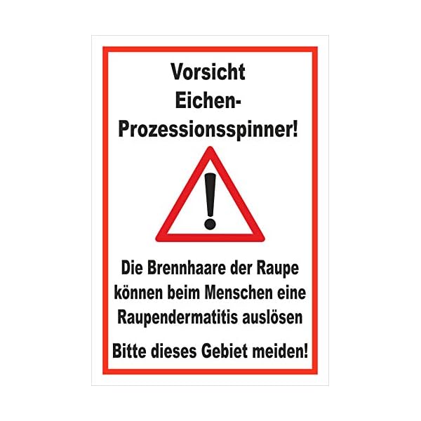 Melis-Folienwerkstatt Schild Eichen-Prozessionsspinner - 30x20cm - 3mm Hartschaum â 20 VAR S00359-121-B