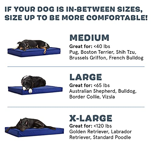 BarkBox Outdoor Dog Bed Waterproof Dog or Cat Mattress Bed with