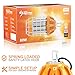80W LED Drop Light For 250-300W HID/HPS/MH Replacement, 10070 Lumens, Spring Loaded Safety Latch, High Bay Lighting, Wire Guard, US Plug, 100-277VAC Rated, UL Listed & DLC Qualified (5000K Cool White)