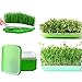 Seed Sprouter Tray, Yamix 6 Set Two-Tiered Seed Sprouter Tray Sprouter Plant Germination Tray Hydroponics Basket (Green + White)