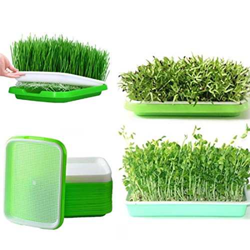 Yamix 2 Pack Two-Tiered Seed Sprouter Tray Kitchen Crop Sprouter Germination Tray (Purple + White)