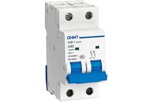 Mini Circuit Breaker NB1-63H 2P 1A - 63A House MCB with Indication(63A)