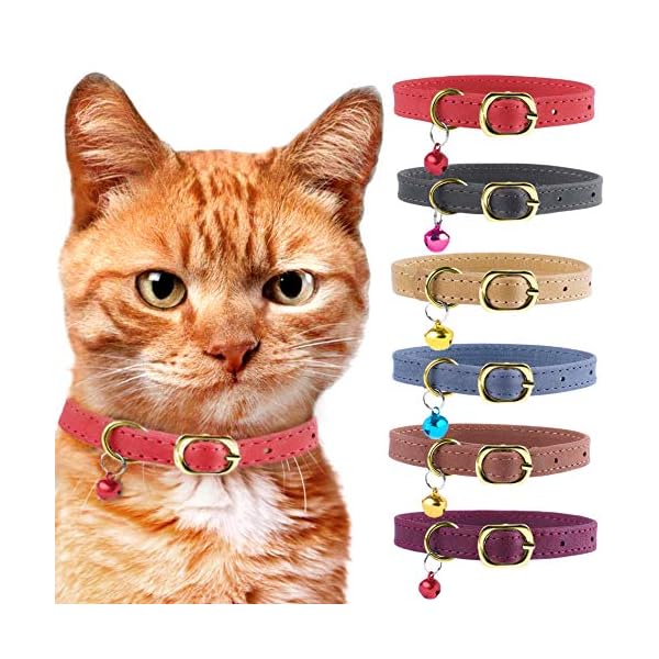 soft cat collars