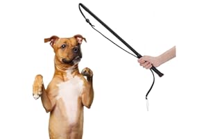 Pssopp Cowhide Dog Agitation Whip, Dog Teaser Wand Dogs Training Whip Outdoor Playing for Pulling Chasing Chewing Teasing Training