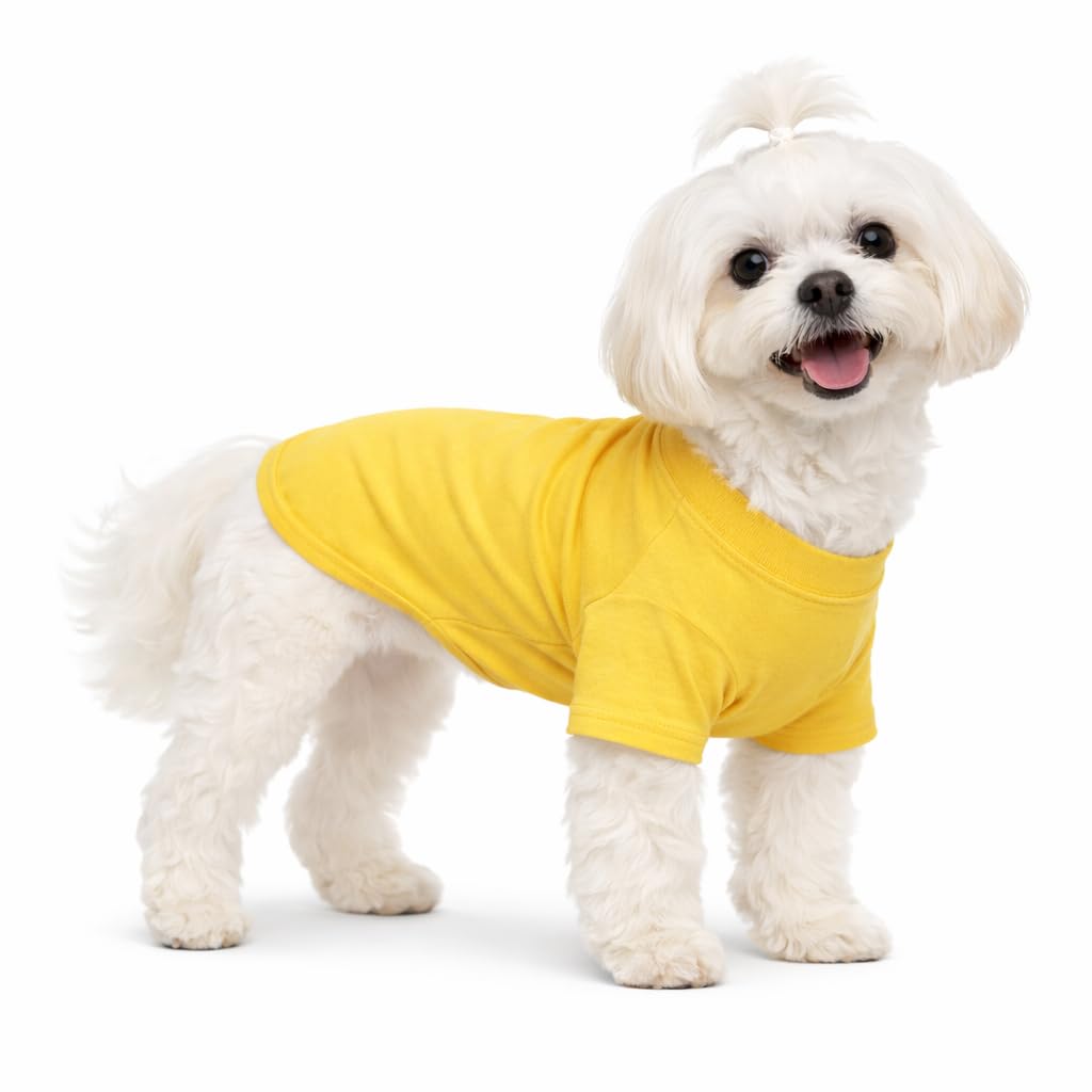 Lovelonglong Pet Clothing Dog Costumes Basic Blank T-Shirt Tee Shirts for Small Dogs Yellow M