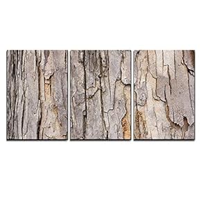 3 Piece Canvas Wall Art - Tree Bark - Modern Home Art Stretched and Framed Ready to Hang - 16"x24"x3 Panels