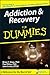 Addiction & Recovery For Dummies