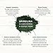 Organic Spirulina 8 oz. Purest Premium Green Superfood Powder, Vegan and USDA Certified for Quality, Safety, Maxiumum Nutrient Density by Chosen Foods