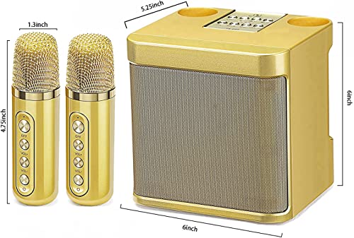 Roadpassion Karaoke Machine,Rechargeable Portable Bluetooth Karaoke Speaker with 2 Wireless Microphones Karaoke Equipment for Indoor Outdoor Party