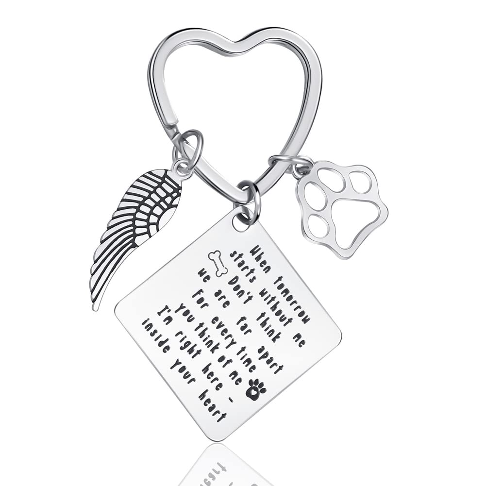 Loss of Pet Keychain,Stainless Steel Pet Memorial Dog Cat Keyring Angel with Paws,Personalized Remembrance Key Pendant for Pet Lover