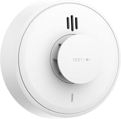 WISUALARM Heat Alarm 10-Year Battery Kitchen Detector BS 5446 Mute Remote