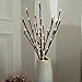 BABALI Lighted Artificial Branches 20 Inches 48 Led Battery Operated Decorative Branches Willow Lighting Twig Branch Lights Warm White Crafts with Timer