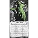The Nightmare Before Christmas Wall Calendar (2019)