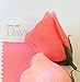 Angel Isabella Set of 5 Coral Rose Boutonniere with Pin for Prom, Party, Wedding …