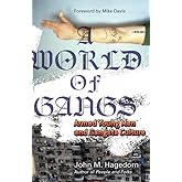 A World of Gangs: Armed Young Men and Gangsta Culture (Volume 14) (Globalization and Community)