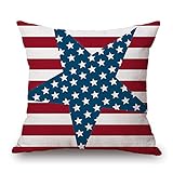 DZT1968 4th July Vintage American Flag patriotic Ornate Amenrican flag Sofa Waist Throw Cushion Cover Pillow Case (D)