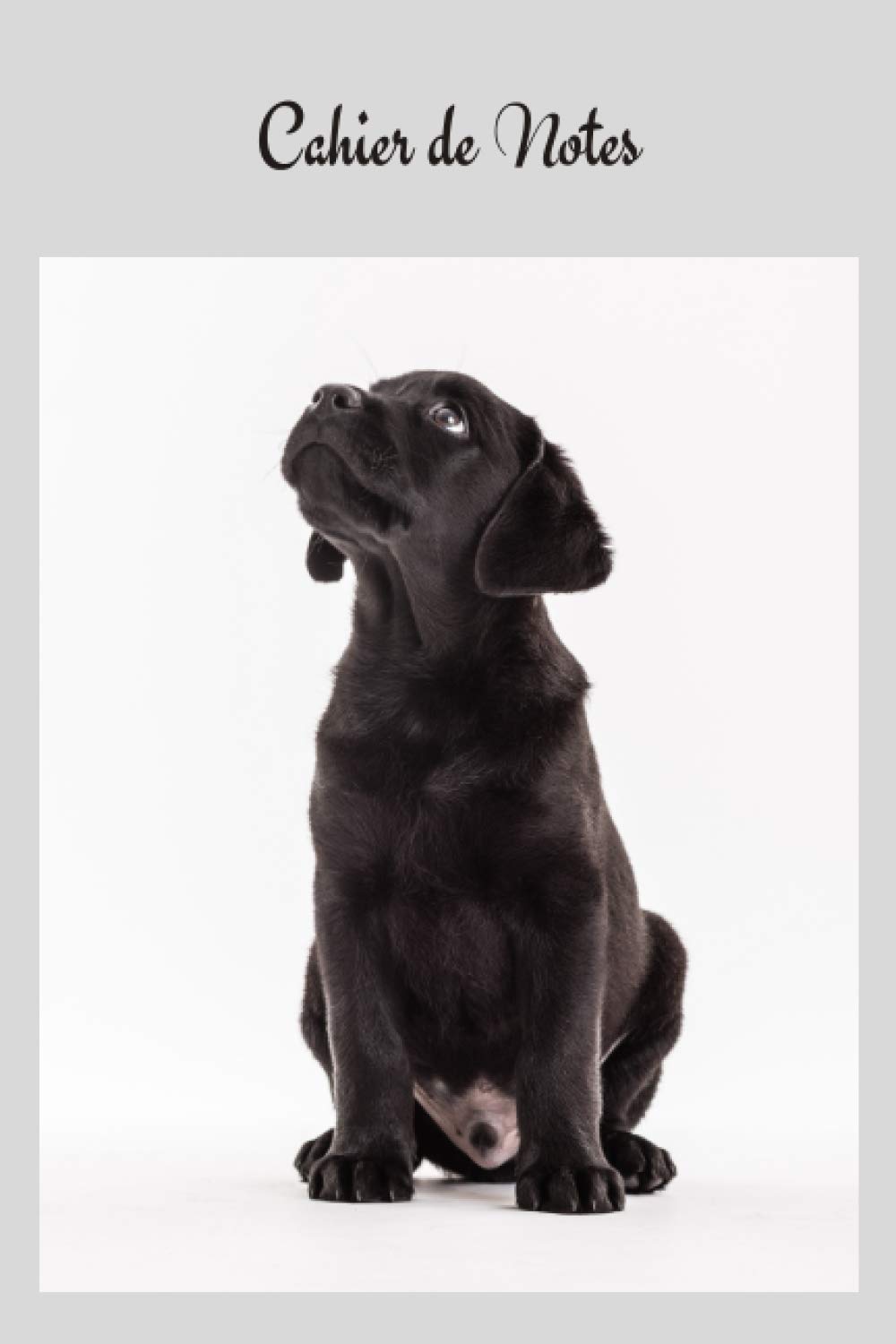 Amazon In Buy Cahier De Notes Labrador Retriever Carnet De Notes Chien Chiot Labrador Retriever Noir Joli Cahier De 100 Pages Lignees Numerotees Avec Sommaire Des Chiens Notebook 6x9 Carnet D Ecriture Book