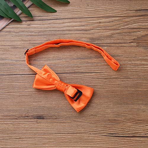 4 ACSUSS+Infant+Birthday+Gentle+Bloomers